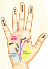 Chiromancie, comment lire l'avenir dans les lignes de la main - Elemiah voyance