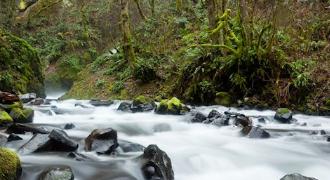 La voyance et votre coaching en amour